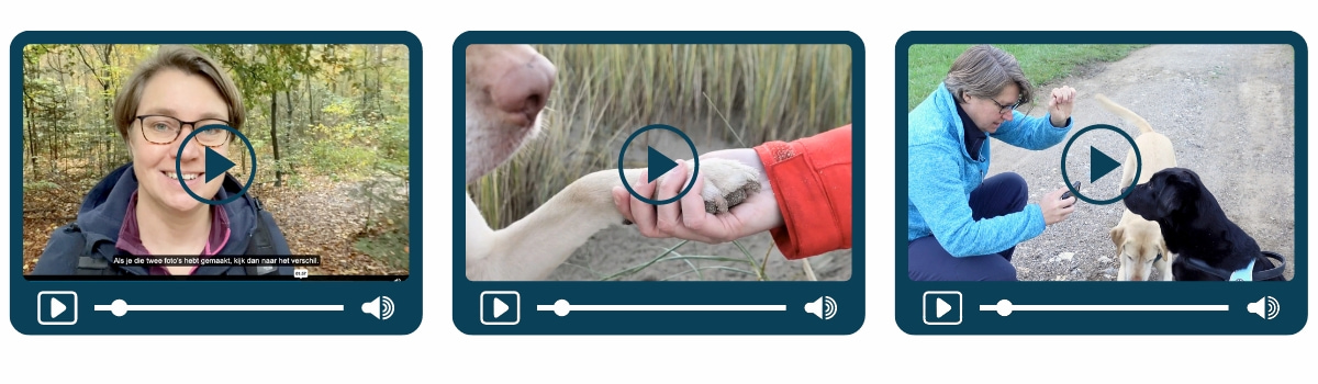 Hondenfotografie met je Smartphone videos