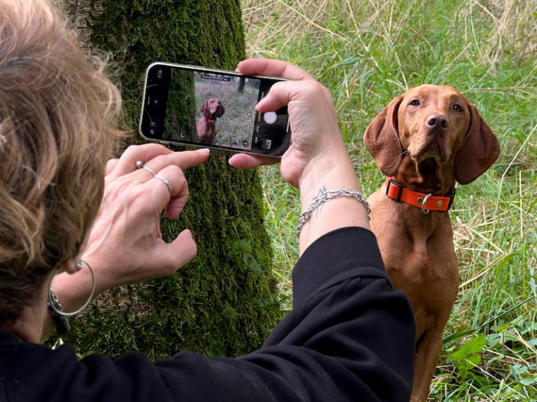 Hondenfotografie met je smartphone cursus online
